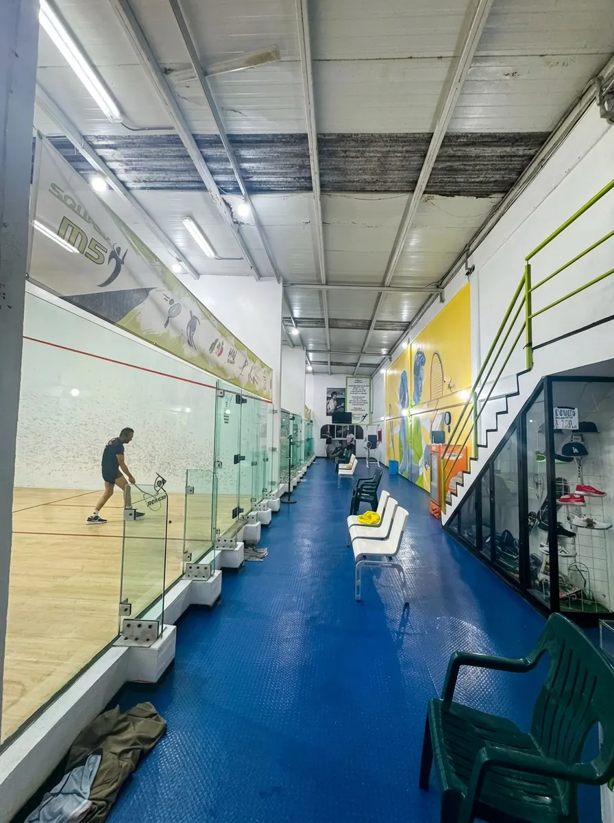 Cancha de squash Squash M5